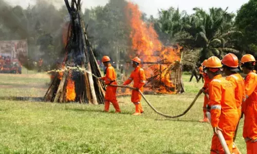 Sampoerna divestasi SGRO ke AGPA Pte. Ltd