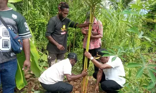 Pemkab Jayapura ajak warga jaga hutan sagu