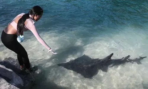 Kepulauan Seribu kembangkan quality tourism perkuat pariwisata