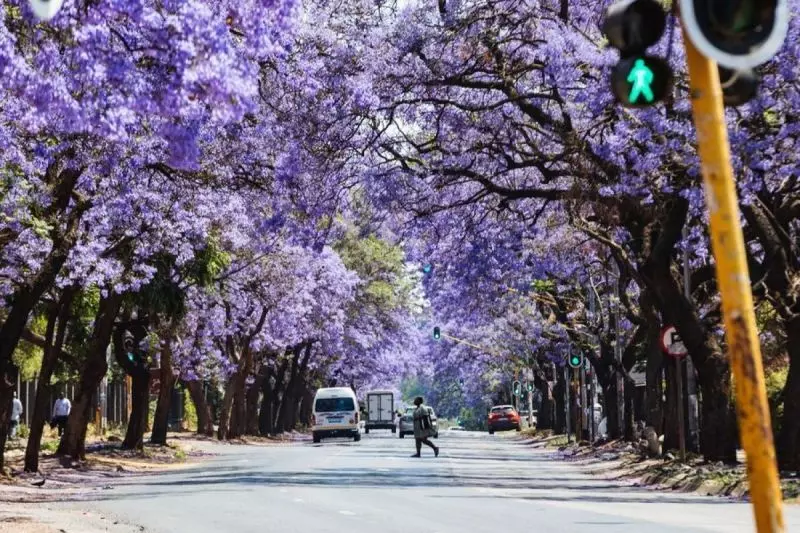AS tegaskan tidak hadir di KTT G20 Afrika Selatan