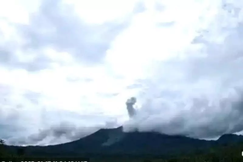 Gunung Ibu lontarkan abu hingga 800 meter
