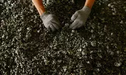 Mitigasi ancaman krisis di hulu saat hilirisasi nikel