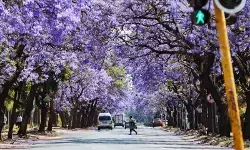 AS tegaskan tidak hadir di KTT G20 Afrika Selatan AS tegaskan tidak hadir di KTT G20 Afrika Selatan