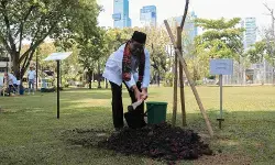 Rano sebut ruang hijau Jakarta jadi destinasi favorit warga Rano sebut ruang hijau Jakarta jadi destinasi favorit warga