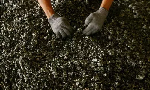 Mitigasi ancaman krisis di hulu saat hilirisasi nikel