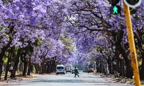 AS tegaskan tidak hadir di KTT G20 Afrika Selatan AS tegaskan tidak hadir di KTT G20 Afrika Selatan