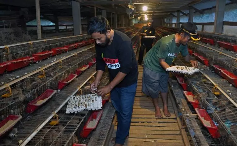 Ahli gizi Unhas ingatkan standar keamanan MBG