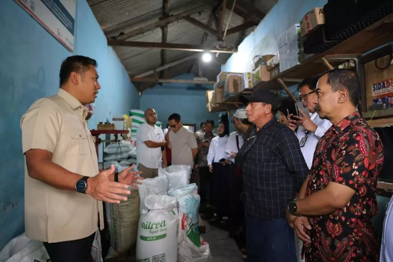 Harga pupuk subsidi diturunkan, Wamentan targetkan produktivitas naik