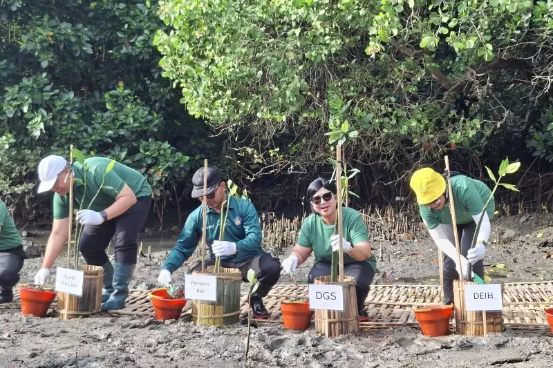 BI suntik insentif Rp36,38 triliun ke bank untuk pembiayaan hijau