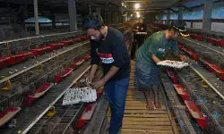 Ahli gizi Unhas ingatkan standar keamanan MBG