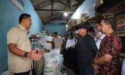 Harga pupuk subsidi diturunkan, Wamentan targetkan produktivitas naik