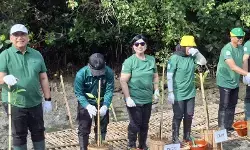 Bali sambut baik kalkulator hijau BI untuk transisi ramah lingkungan