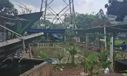 Warga pertanyakan rencana penertiban rumah di lahan TPU Kebon Nanas