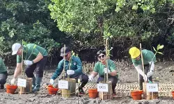 BI suntik insentif Rp36,38 triliun ke bank untuk pembiayaan hijau