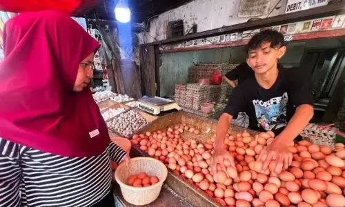 PIHPS: Harga cabai rawit Rp49.800/kg, telur ayam Rp31.600/kg PIHPS: Harga cabai rawit Rp49.800/kg, telur ayam Rp31.600/kg