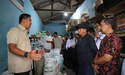 Harga pupuk subsidi diturunkan, Wamentan targetkan produktivitas naik