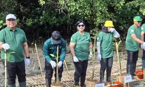 Bali sambut baik kalkulator hijau BI untuk transisi ramah lingkungan