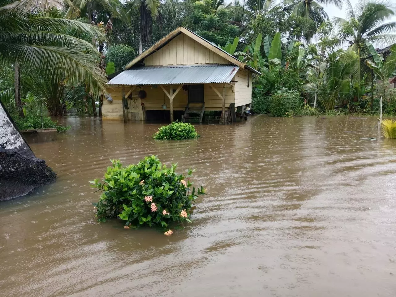 Ribuan rumah di Kabupaten Aceh Utara terendam banjir