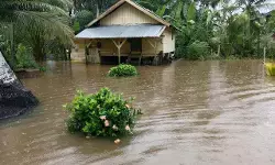 Ribuan rumah di Kabupaten Aceh Utara terendam banjir Ribuan rumah di Kabupaten Aceh Utara terendam banjir