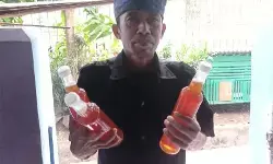 Budidaya lebah di Badui perkuat ekonomi lokal