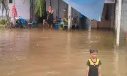 BPBD laporkan 3.698 rumah terendam banjir di Aceh Timur BPBD laporkan 3.698 rumah terendam banjir di Aceh Timur