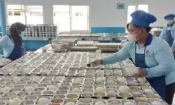 BGN bantu hubungkan pesantren dengan mitra untuk bangun dapur MBG