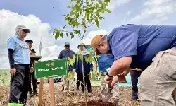 Kemenhut tanam 1,3 juta bibit pohon lewat skema rehab hingga November Kemenhut tanam 1,3 juta bibit pohon lewat skema rehab hingga November