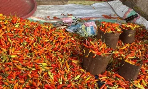 PIHPS: Harga cabai rawit Rp51.150/kg, telur ayam Rp31.750/kg