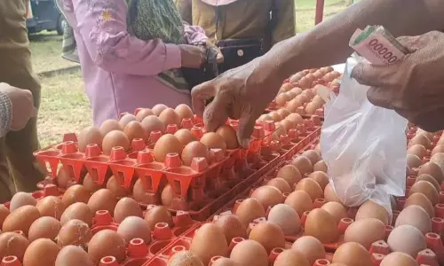 Babel antisipasi lonjakan harga sembako akhir tahun