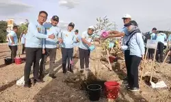 BBWSC3 perkuat konservasi Cibanten lewat tanam pohon