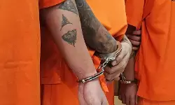 Polresta Denpasar usut dugaan rudapaksa terhadap pegawai kafe