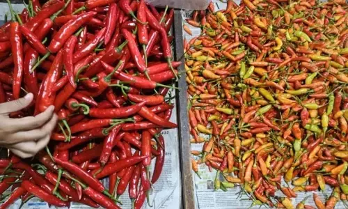 PIHPS: Harga cabai rawit Rp51.650/kg, telur ayam Rp31.800/kg