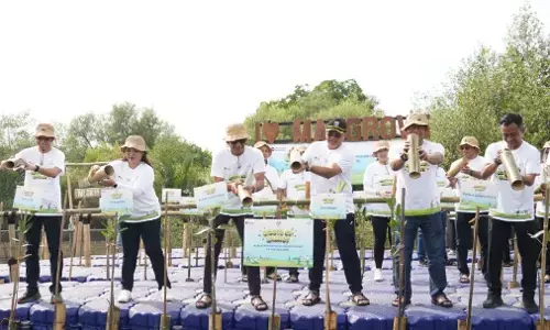 Cegah Abrasi Jakarta, PLN tanam mangrove peringati Hari Menanam Pohon Indonesia 2025 Cegah Abrasi Jakarta, PLN tanam mangrove peringati Hari Menanam Pohon Indonesia 2025