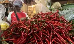 PIHPS: Harga cabai rawit Rp55.250 per kg, telur ayam Rp31.800 per kg