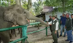 Menhut: Bencana di Sumatera titik balik perbaikan tata kelola hutan