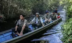Kalteng siapkan RPPLH dan DDDTLH wujudkan pembangunan berkelanjutan