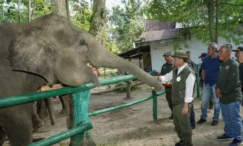 Menhut: Bencana di Sumatera titik balik perbaikan tata kelola hutan