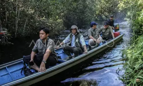 Kalteng siapkan RPPLH dan DDDTLH wujudkan pembangunan berkelanjutan Kalteng siapkan RPPLH dan DDDTLH wujudkan pembangunan berkelanjutan
