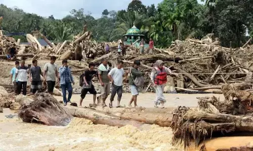 Mentan pastikan bantuan pangan bagi korban banjir Sumbar disalurkan
