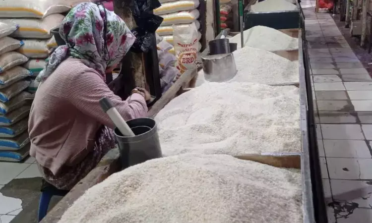 Harga beras medium di Lebak menjelang Natal dan tahun baru turun