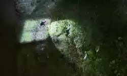 Frustasi skripsi tidak selesai, mahasiswa PTN bunuh diri