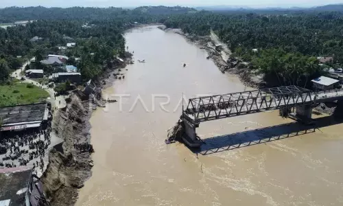 Koalisi masyarakat dorong penetapan darurat bencana nasional