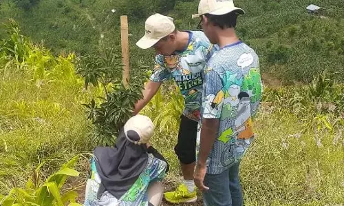 Kantong Tabungan petani Patiayam Kudus itu bernama pohon mangga hasil konservasi BLDF