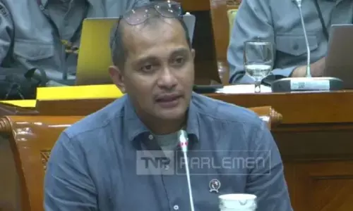 Wamenkum: RUU Penyesuaian Pidana soal narkotika sebagai pintu darurat