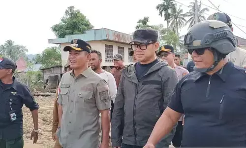 Wamendagri apresiasi langkah cepat Pemkab Solok mitigasi bencana