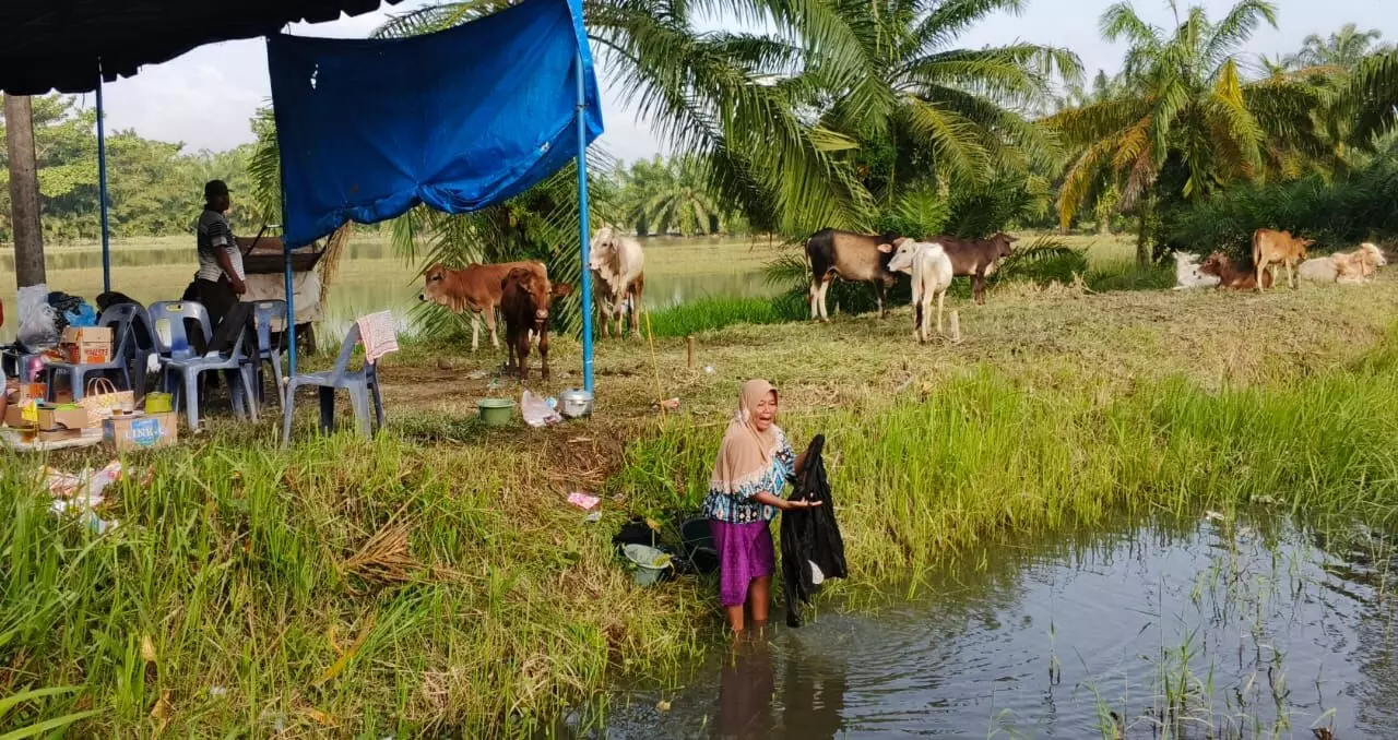 Banjir mulai surut, warga Telaga Jernih masih bertahan di pengungsian