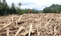 KLH akan lakukan penyelidikan sumber kayu dan faktor banjir Sumatera KLH akan lakukan penyelidikan sumber kayu dan faktor banjir Sumatera