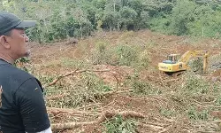 Satu unit ekskavator mulai cari korban longsor di Tinggam Talamau