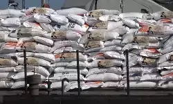 Beras bantuan pemerintah di Aceh jadi perhatian