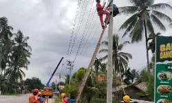 PLN UID Jakarta kirim bantuan material dan petugas untuk pemulihan kelistrikan Aceh